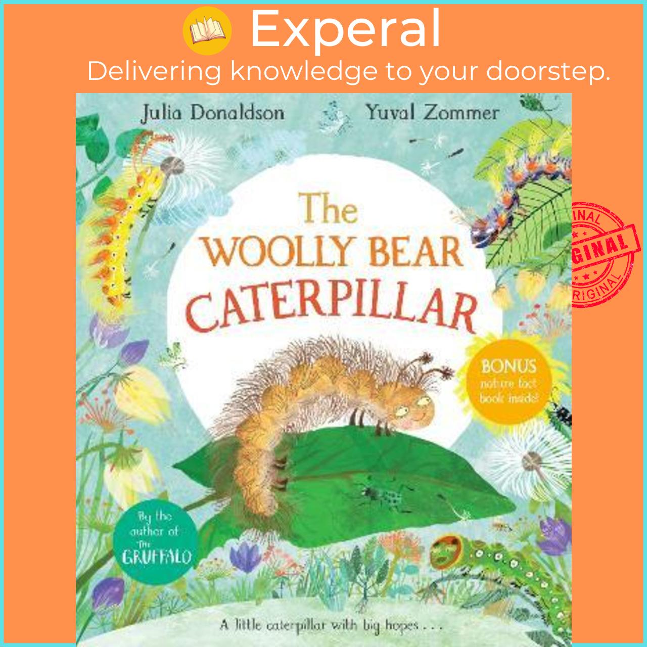 Sách - The Woolly Bear Caterpillar by Julia Donaldson