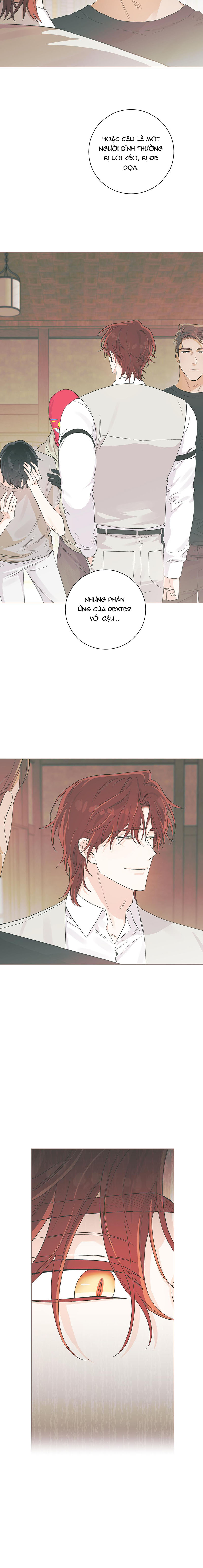 tiếng đập con tim chapter 14 3