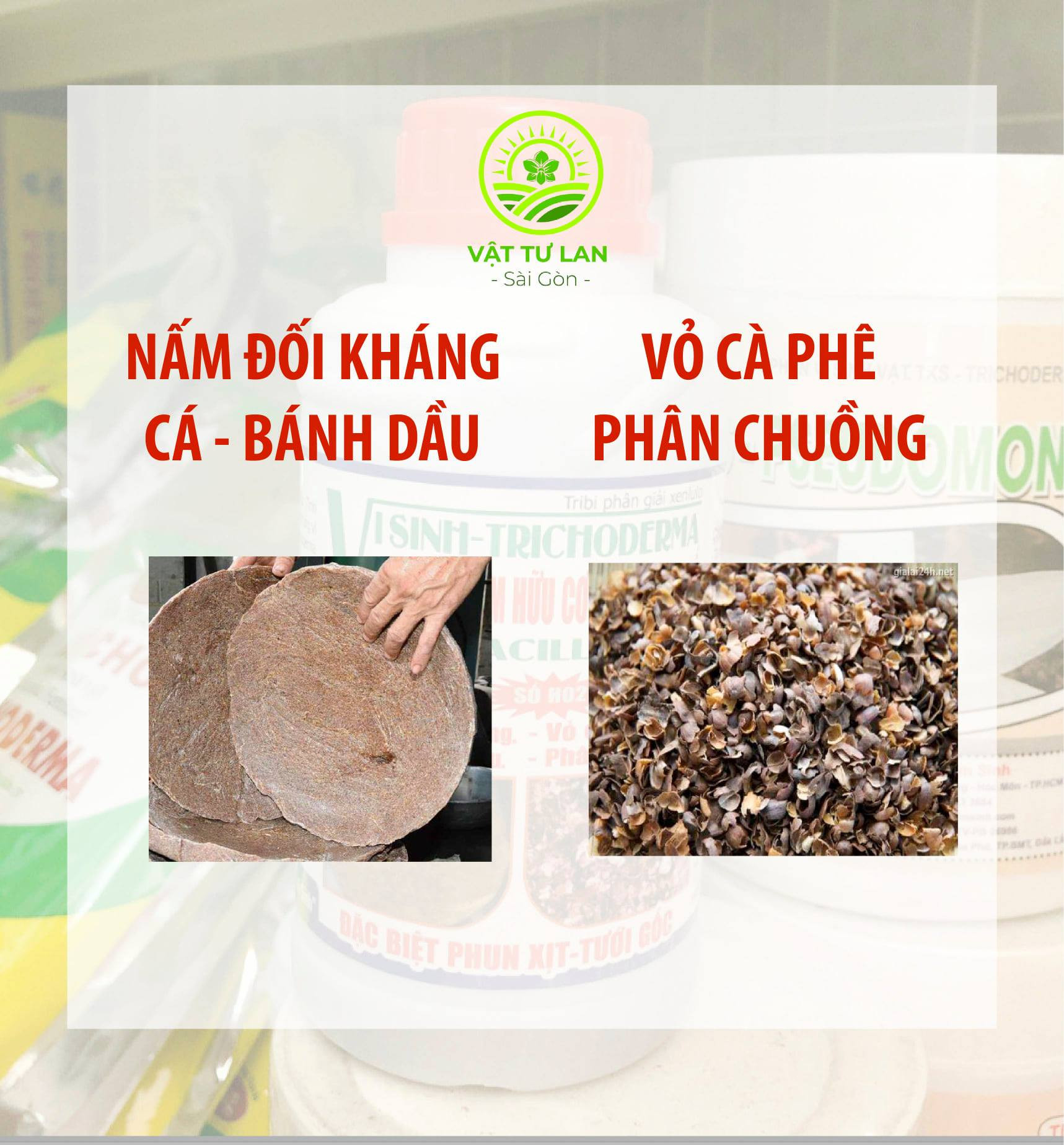 NẤM ĐỐI KHÁNG BACILLUS Chai 500ml