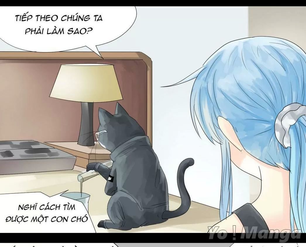 một con chó chapter 34 4