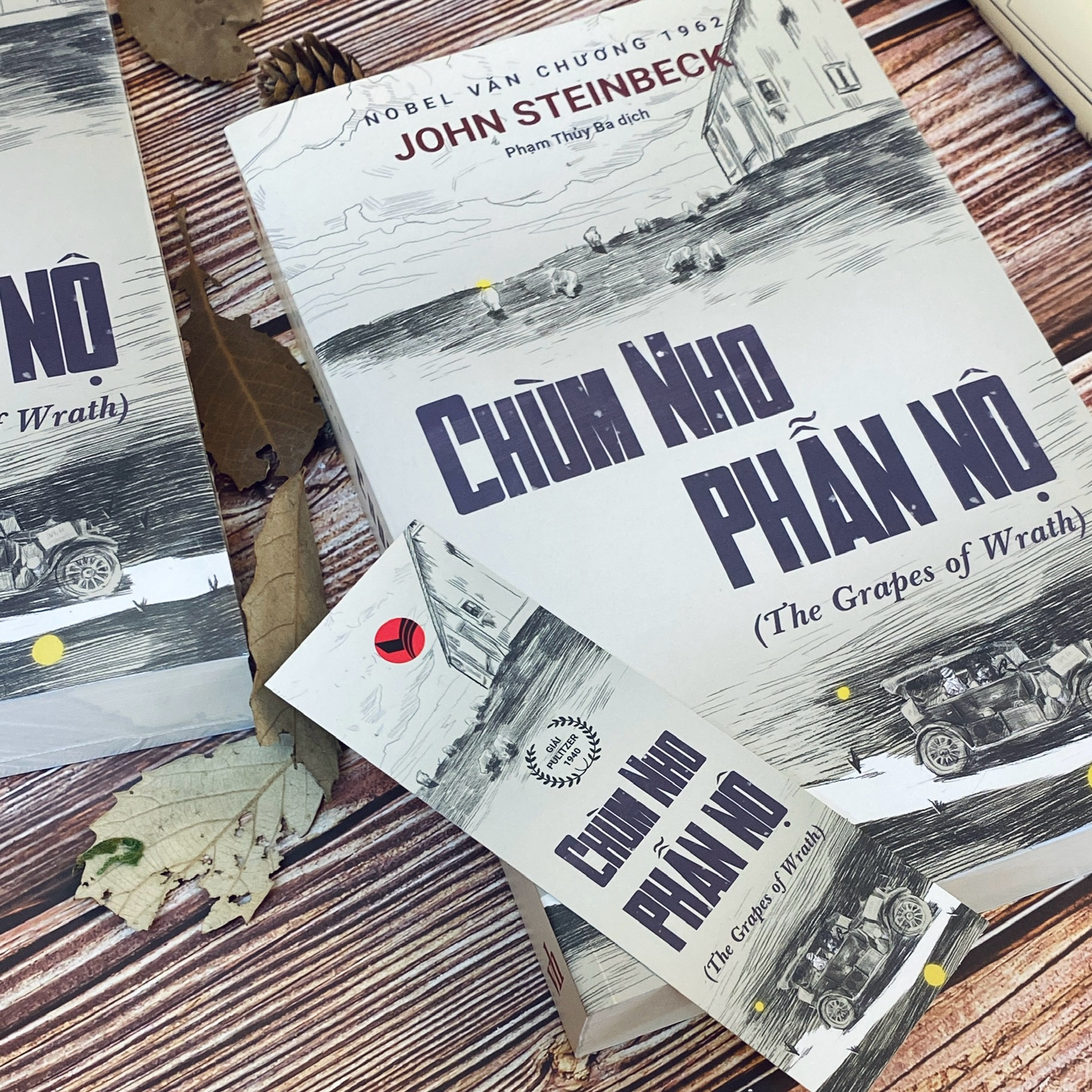 Sách - Chùm nho phẫn nộ - The Grapes of Warth