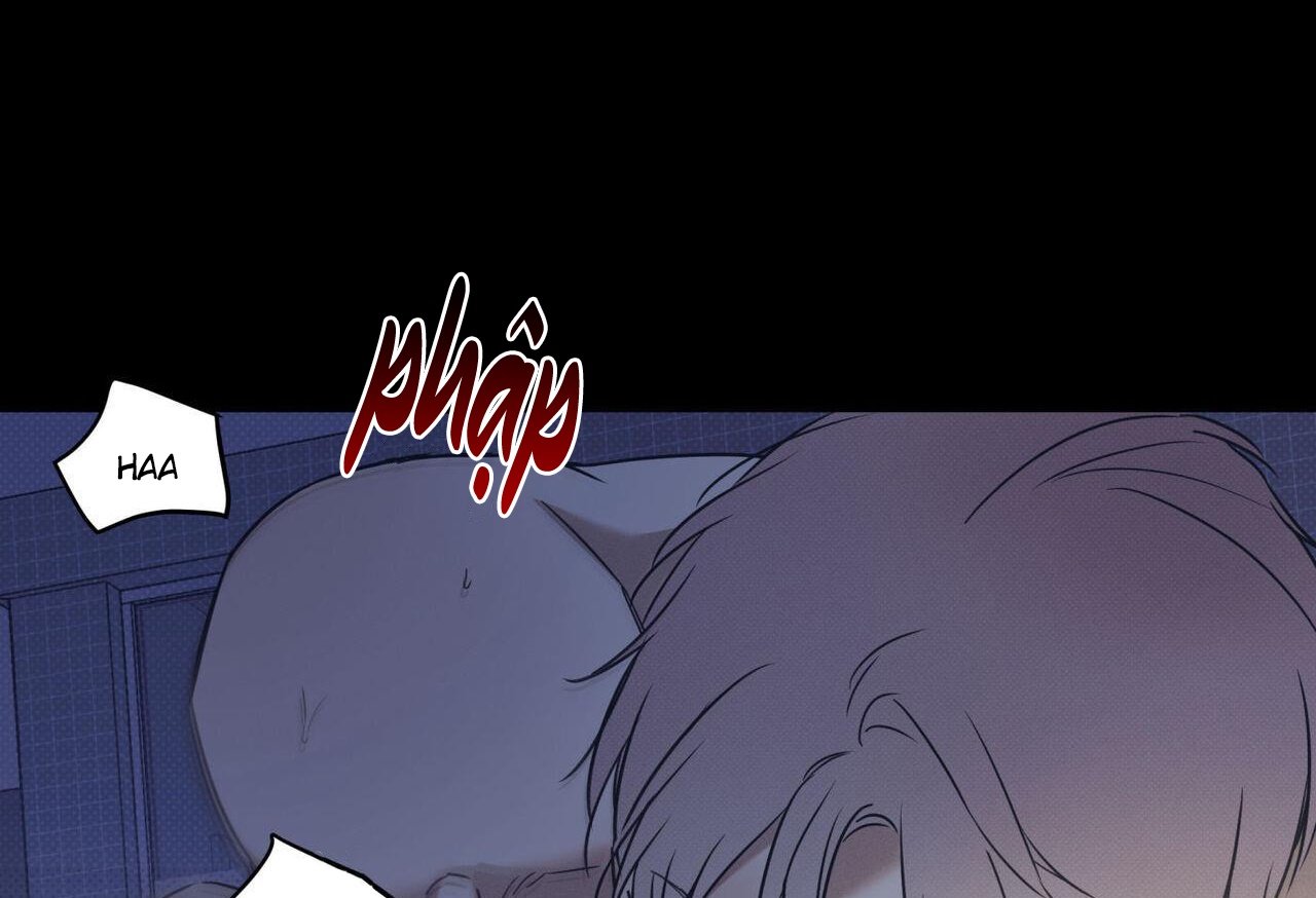 dải hợp âm trên đại dương xanh chapter 43 50