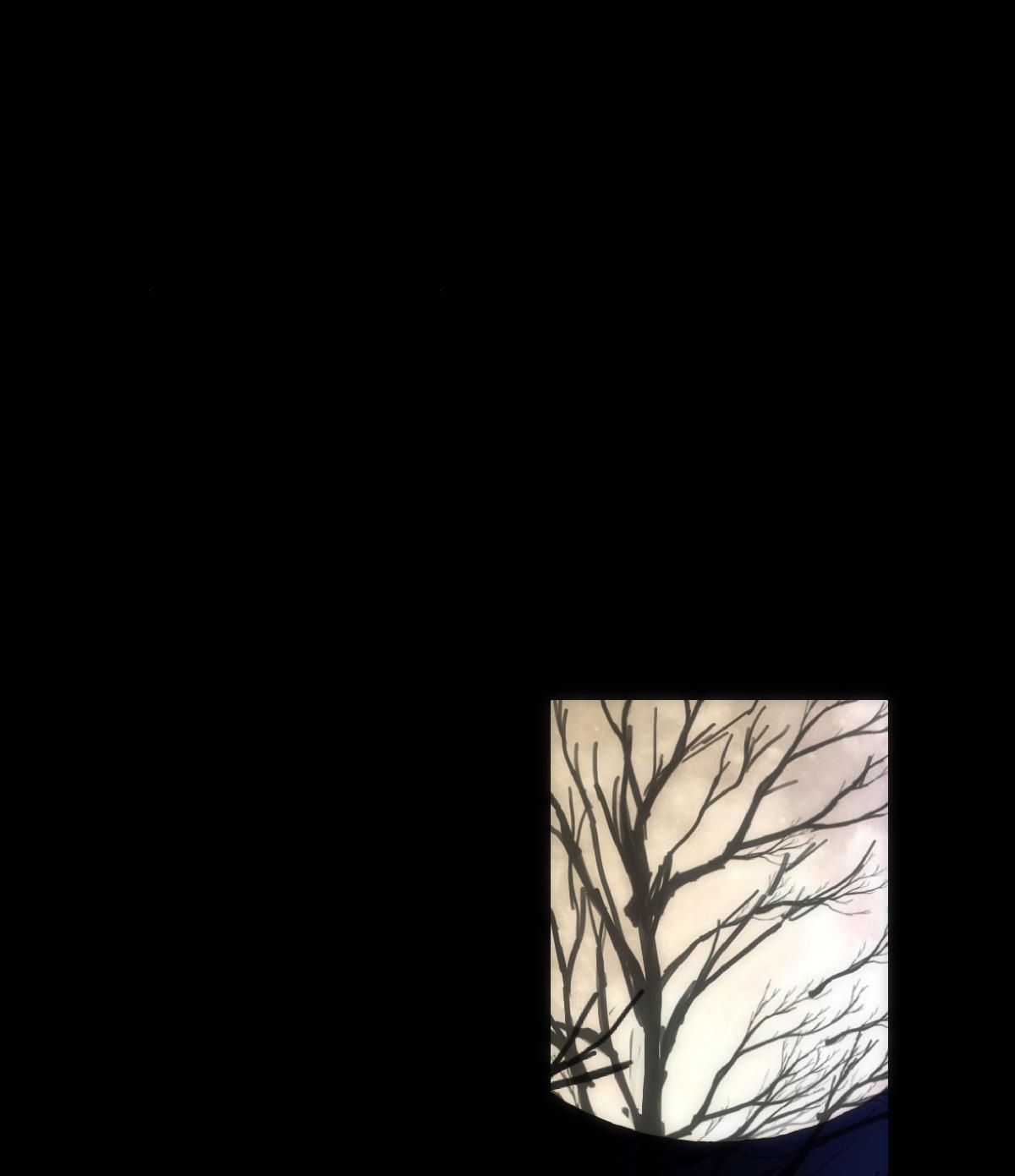 chuyện bên lề sau khi xuyên sách của ta và sư tôn chapter 43 58