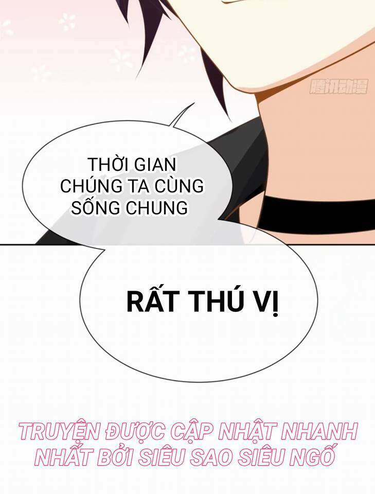vật nuôi đáng yêu : mèo cỏ của tôi chapter 1.5 78