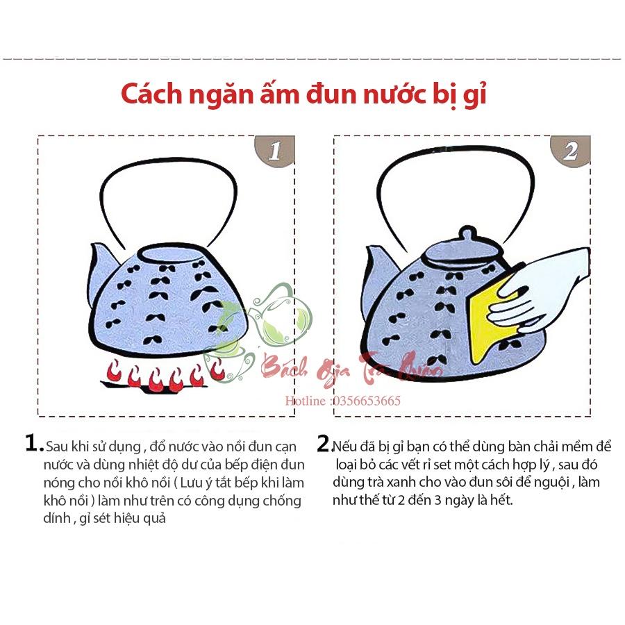 Ấm Gang Tetsubin - Quai Gang Quấn Dây Cói - Họa Tiết Én Báo xuân - Dung Tích 1200ml
