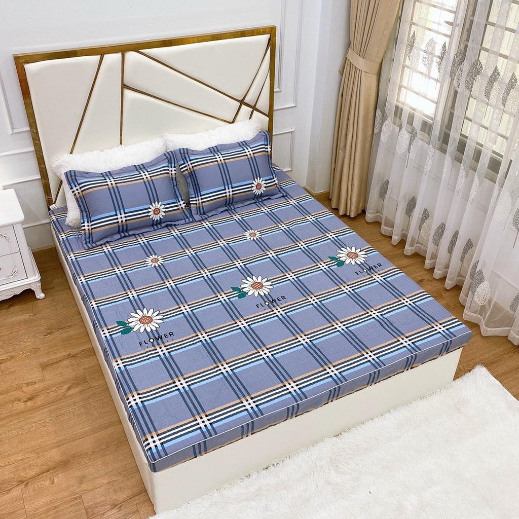 Bộ ga gối cotton trần bông Hàn các kích thước