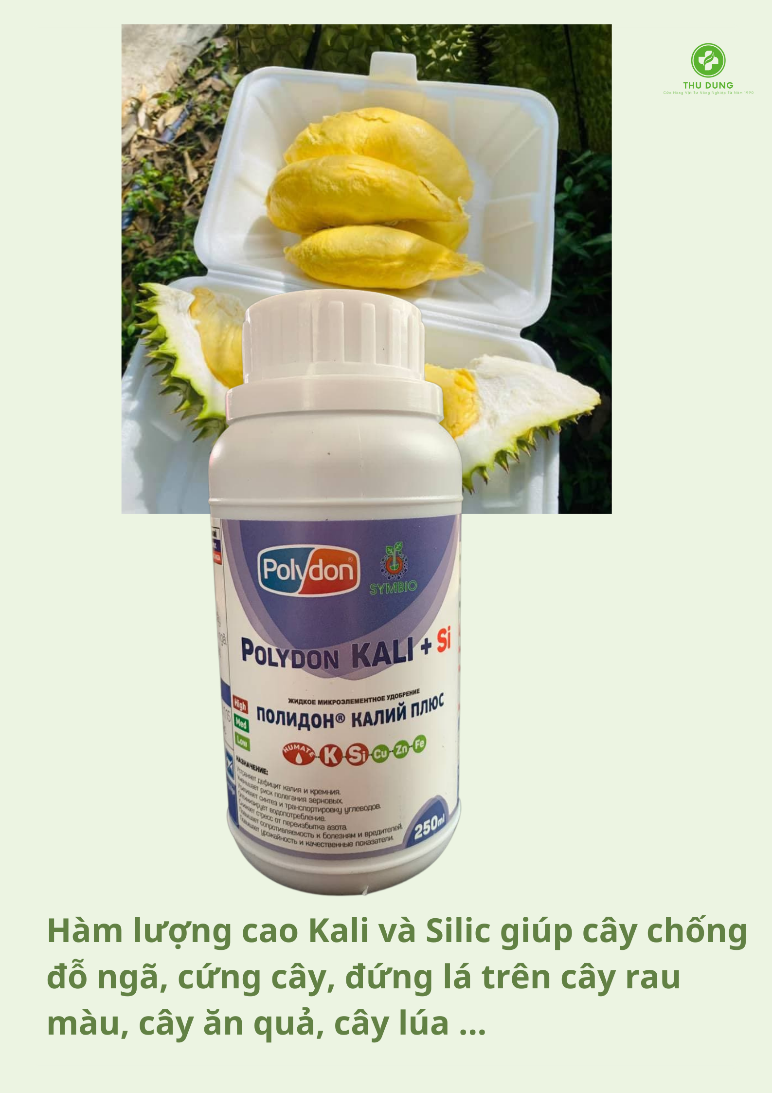 Polydon KALI+Si 250ml - Dưỡng trái vào hạt, cứng cây giảm đổ ngã