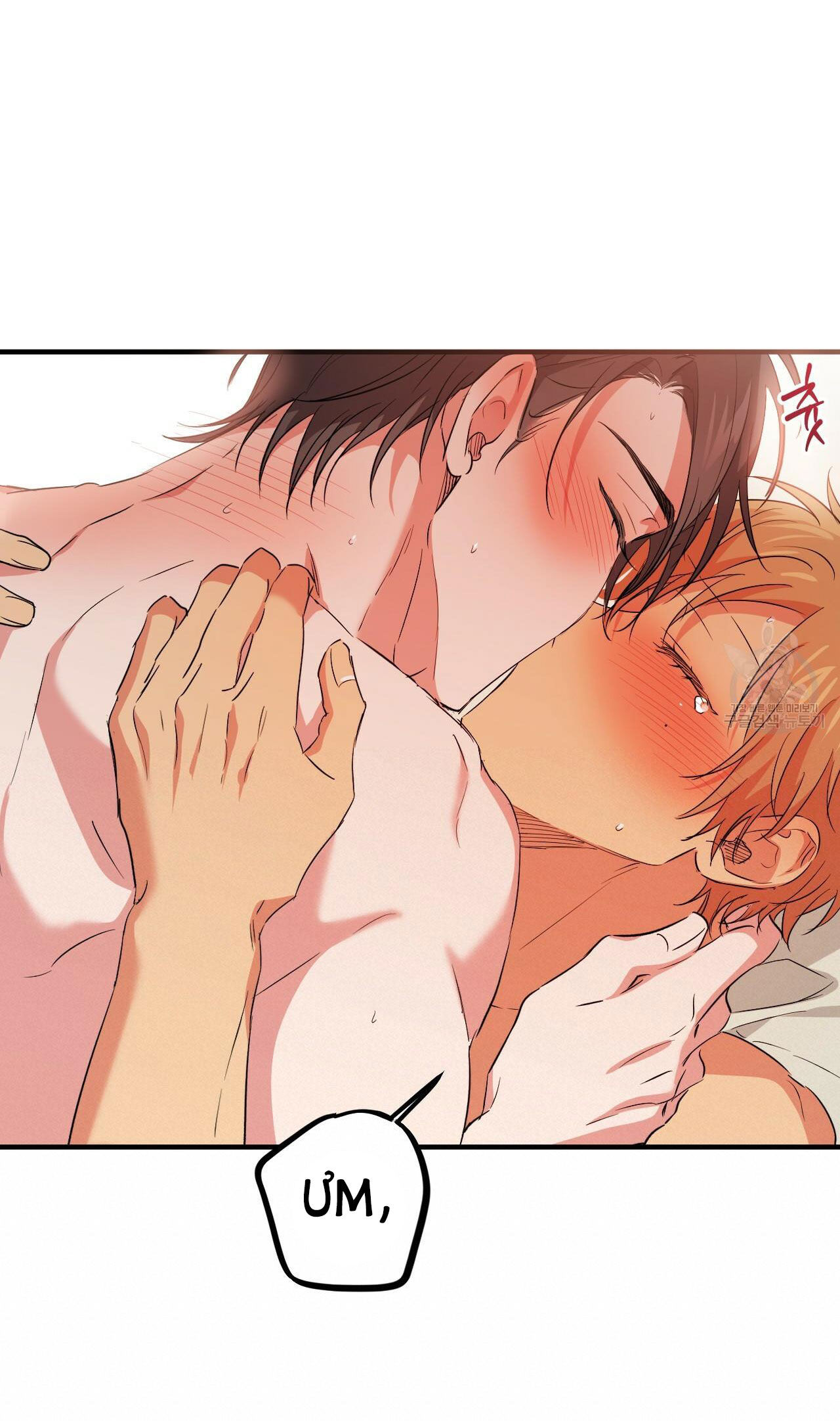 những chú thỏ của hapypy chapter 54.2 40