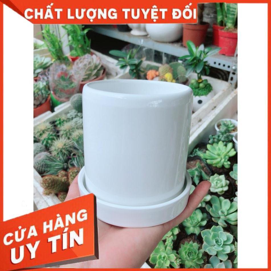 Chậu kiểu trắng trơn có dĩa lót