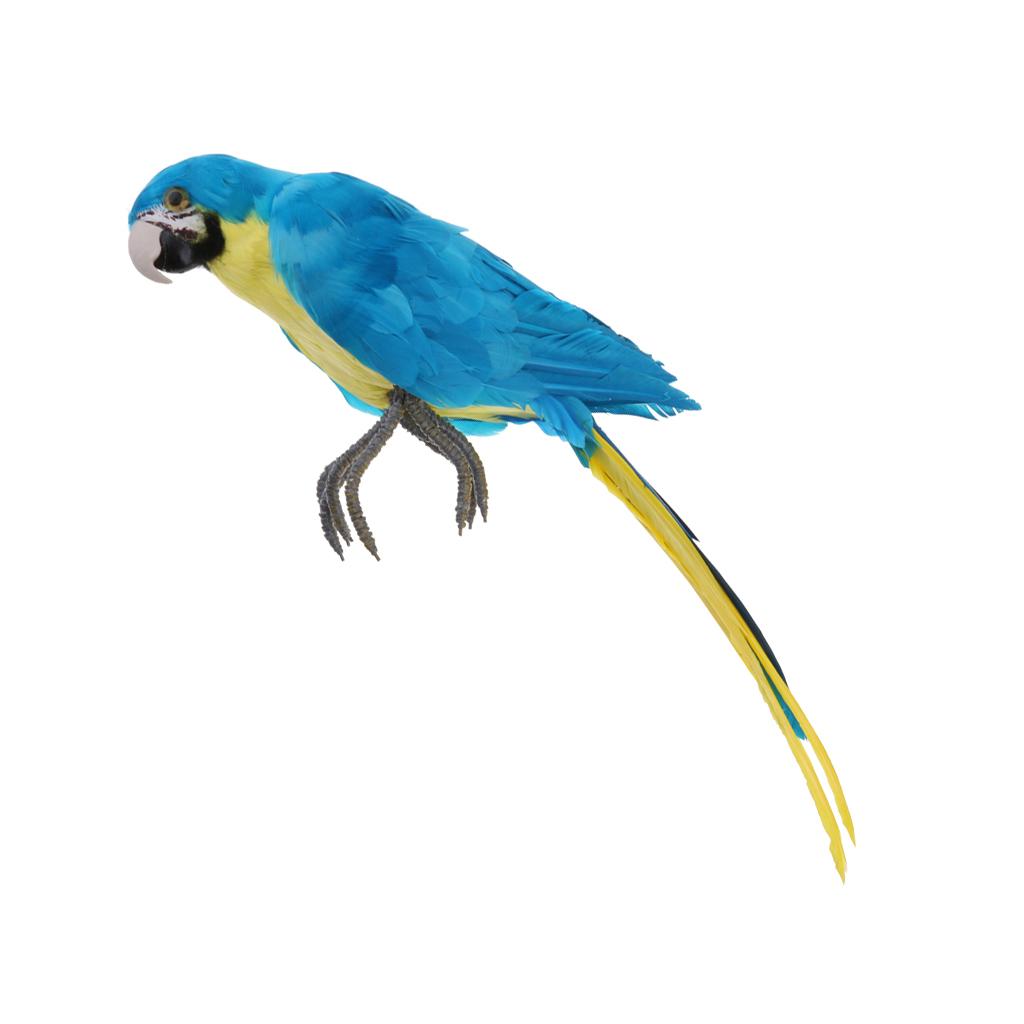 Lông Vũ Nhân Tạo Xanh Chim Vẹt Thủ Công Taxidermy Nhà Nghệ Thuật Trang Trí Vật Trang Trí