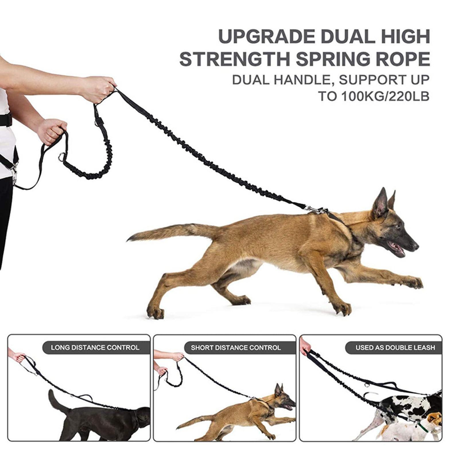 Hands Leash Running Waist Belt Pet Walking Elastic Leashes+Bag