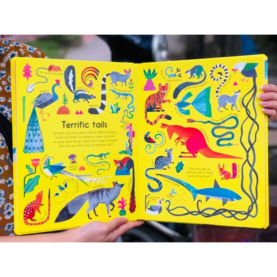 Sách Bản Quyền - Creature Features - Hơn 300 Động Vật Được Phân Làm 11 Nhóm Với Các Đặc Điểm Để Con Tìm Tiểu - Á Châu Book
