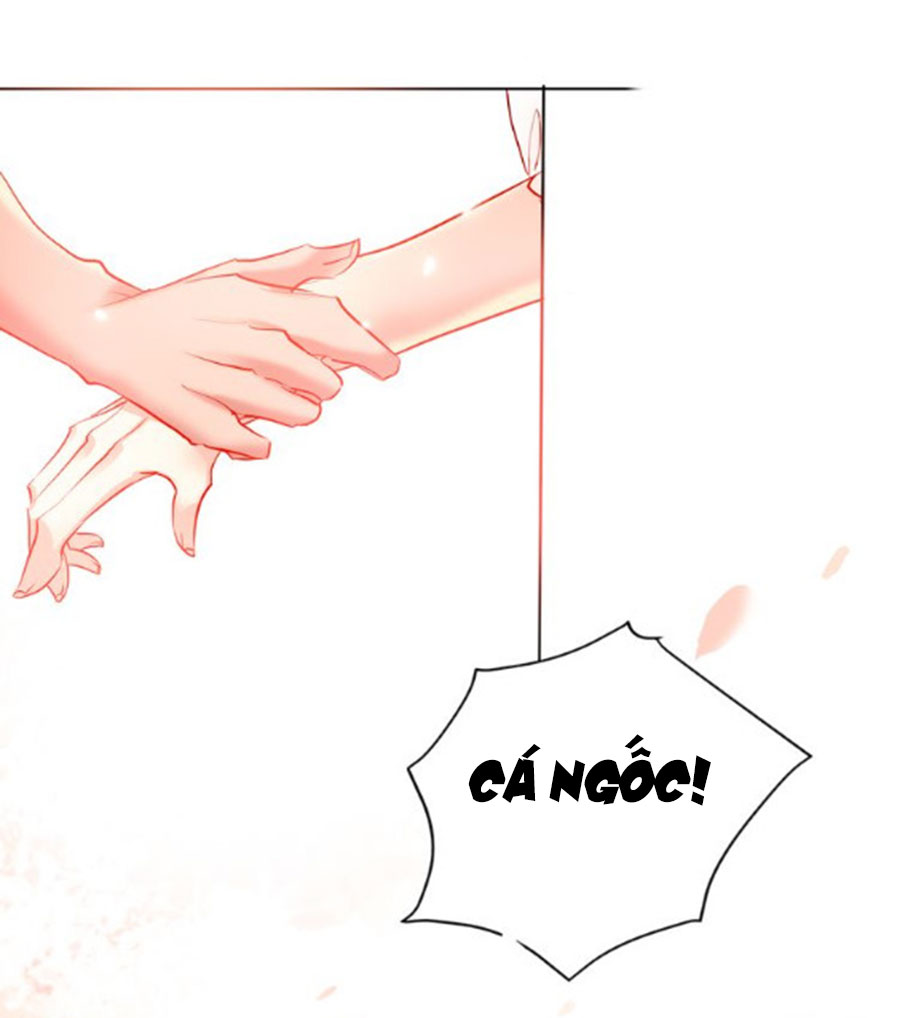 kế hoạch đánh chiếm của công chúa nghèo chapter 47 39