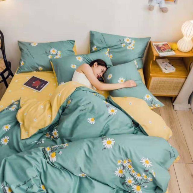 Trọn bộ 5 món vỏ chăn ga gối poly cotton - cúc hoạ mi