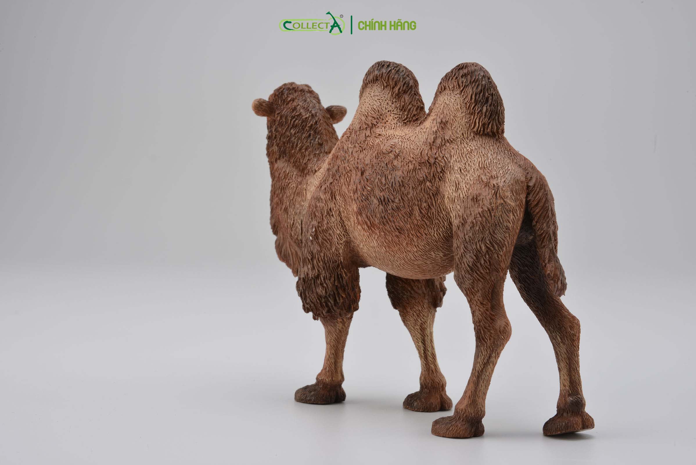 Mô hình thu nhỏ: Lạc Đà - Bactrian Camel, hiệu: CollectA, mã HS 9651180[88807] -  Chất liệu an toàn cho trẻ - Hàng chính hãng