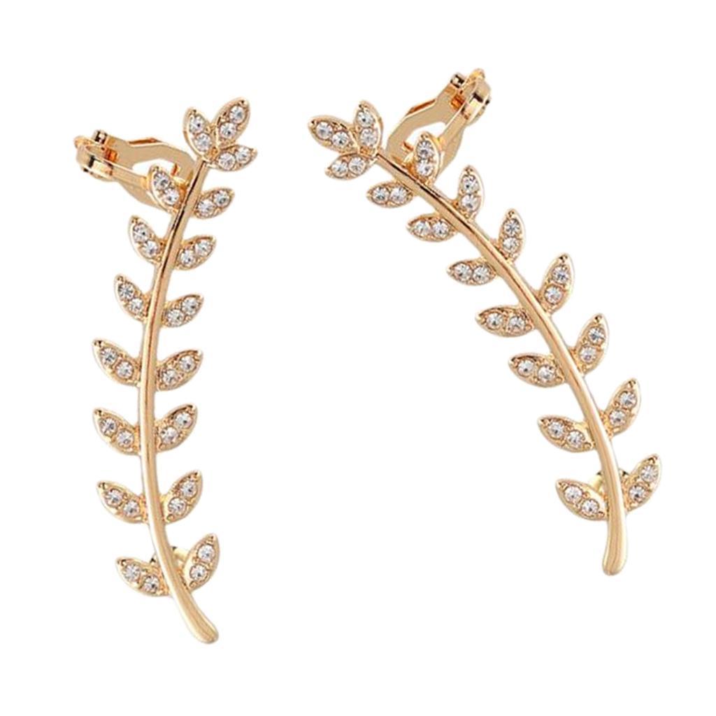 Earrings Ear Studs