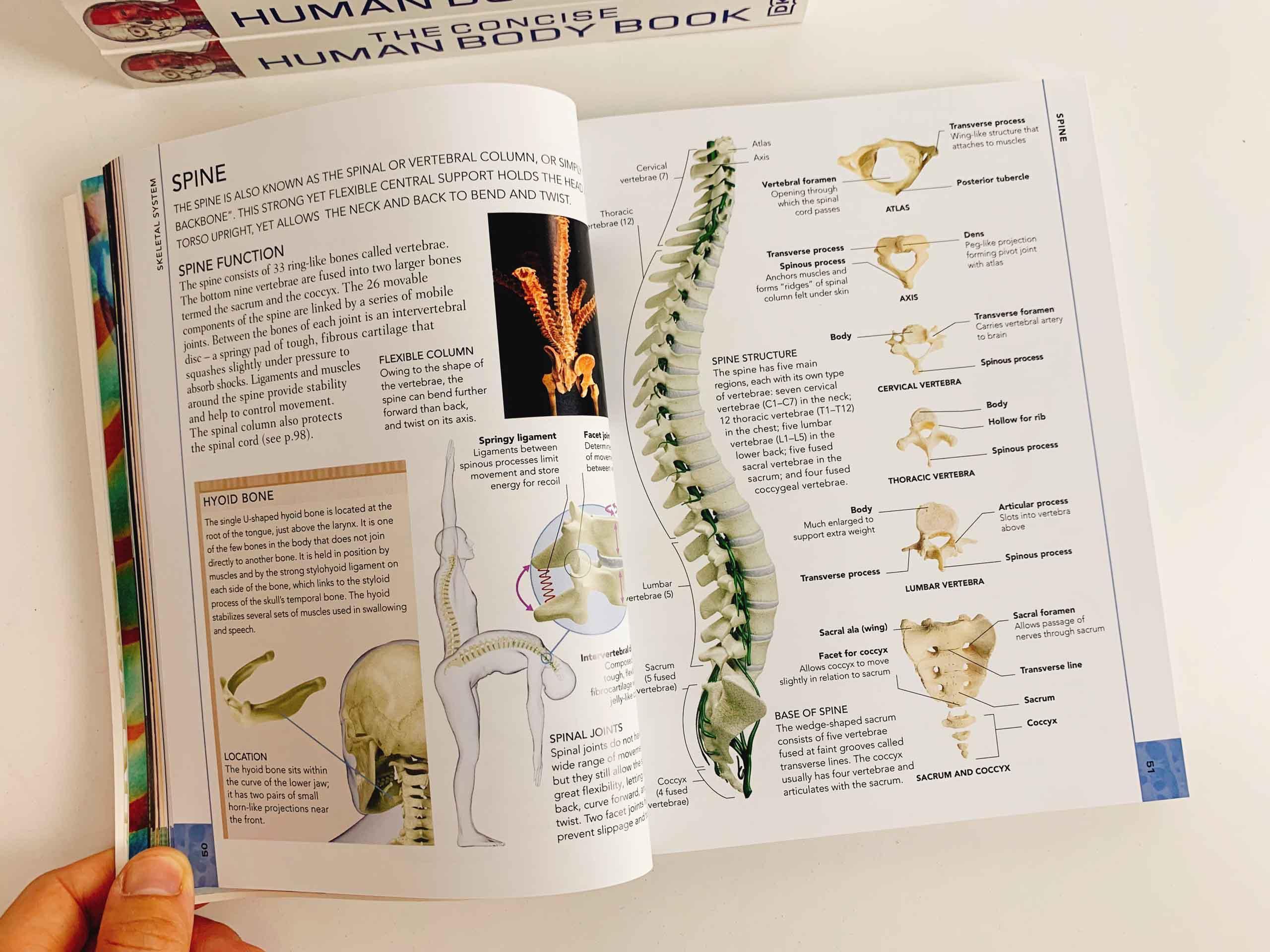 The Concise Human Body Book: An illustrated guide to its structure, function and disorders