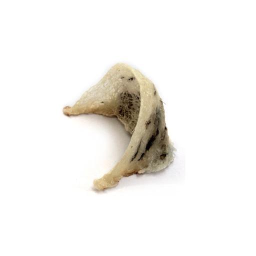 Yến Nguyên Tổ Còn Lông 100g _ Đệ Nhất Yến Đảo _ Yến Khánh Hòa 100% - Cam kết 1 đền 10 - Chất lượng bảo đảm
