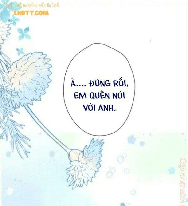 bảo vệ siêu sao của tôi chapter 134 15