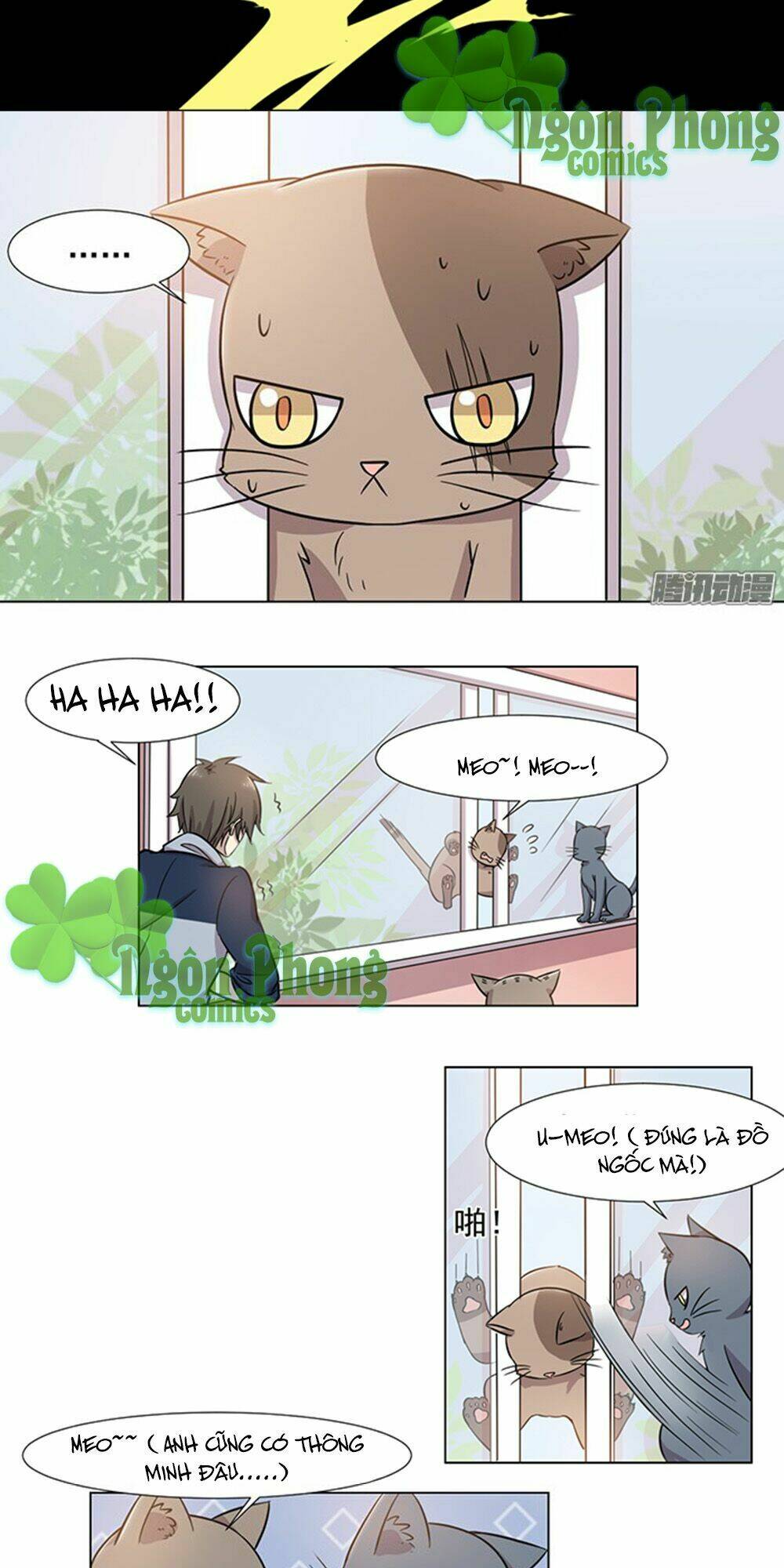 hai chú mèo totem chapter 30 6