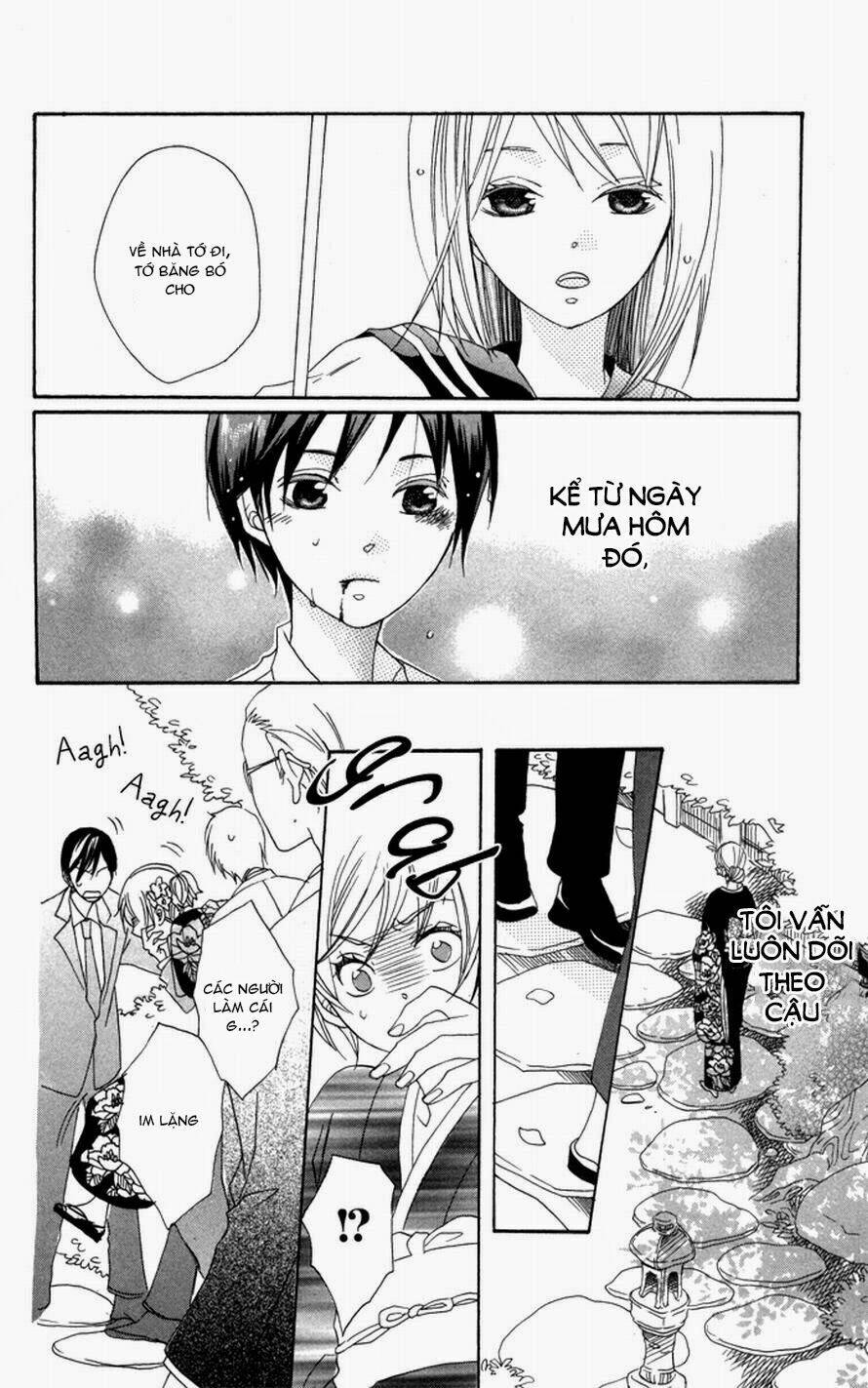 hoa hồng hoang dã chapter 1 31