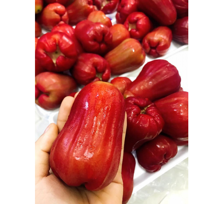 Roi Đỏ An Phước - 1kg