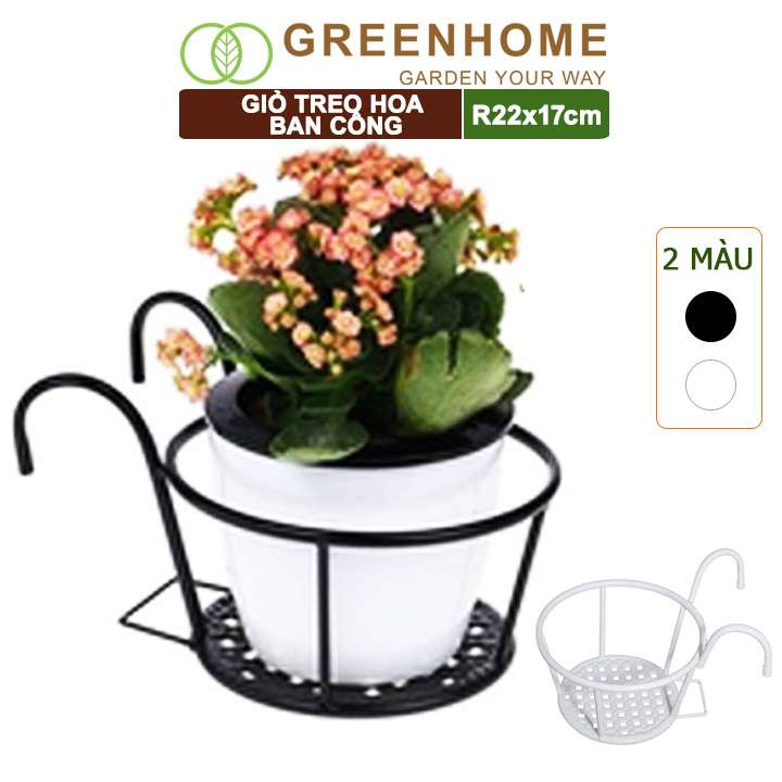 Giỏ treo hoa ban công, D22xC18cm, chất liệu sắt sơn tĩnh điện, phù hợp với mọi lan can |Greenhome