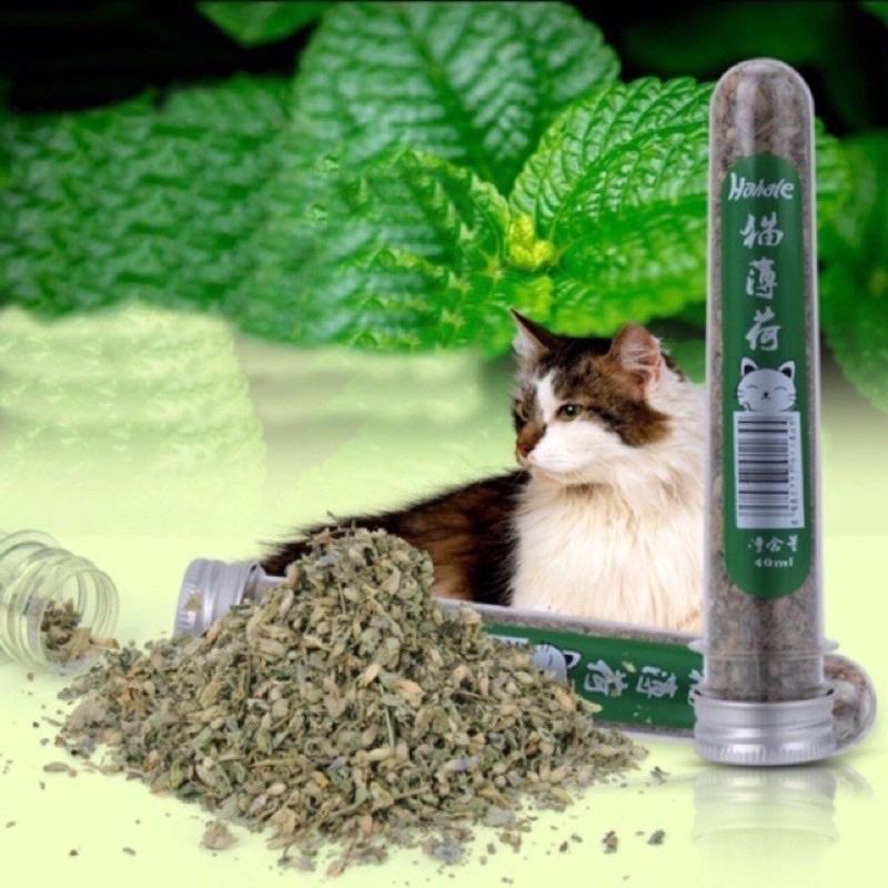 Cỏ Catnip Cỏ Bạc Hà Dạng Ống Cho Mèo