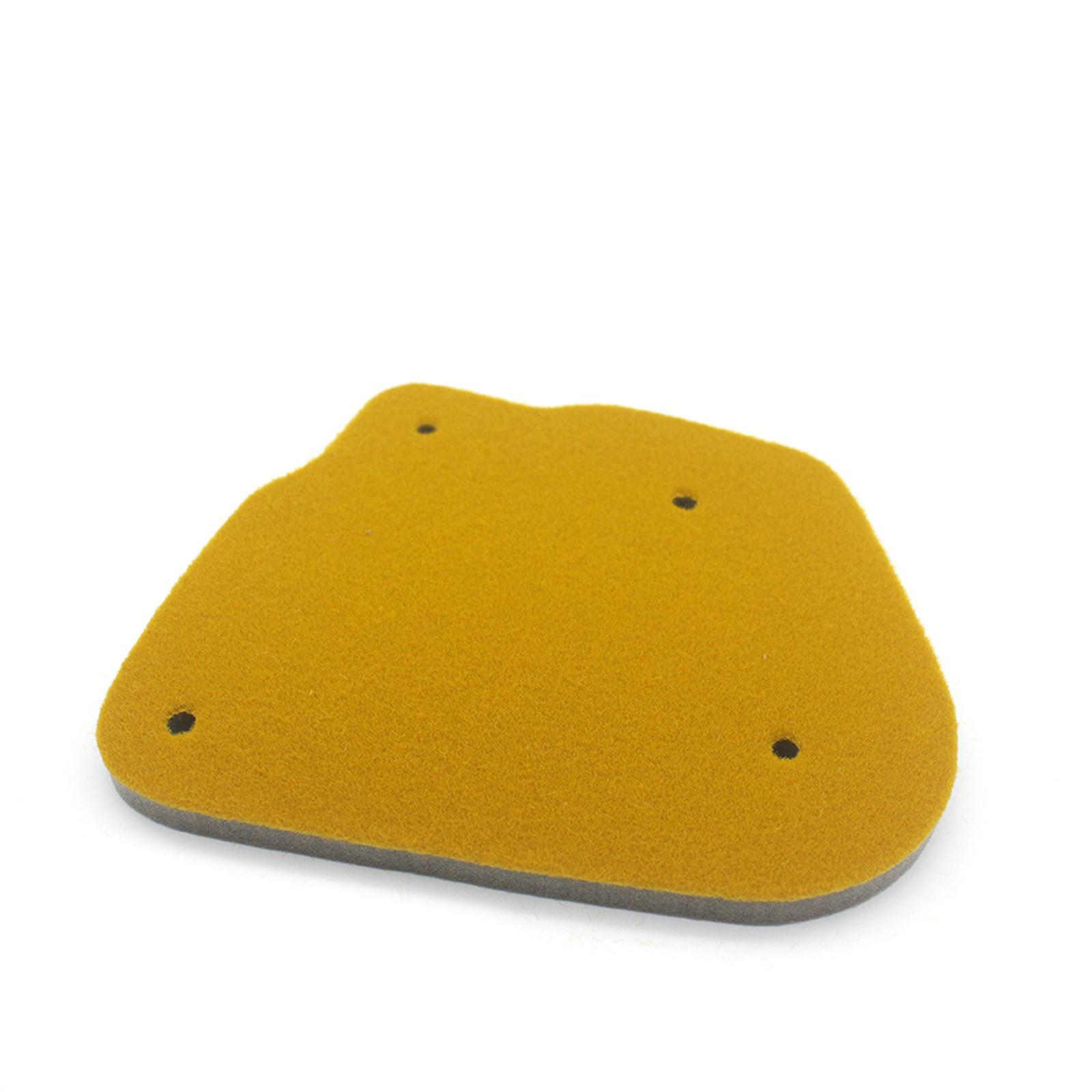 Filter Professional for WY BWS 50 WY50 BWS100