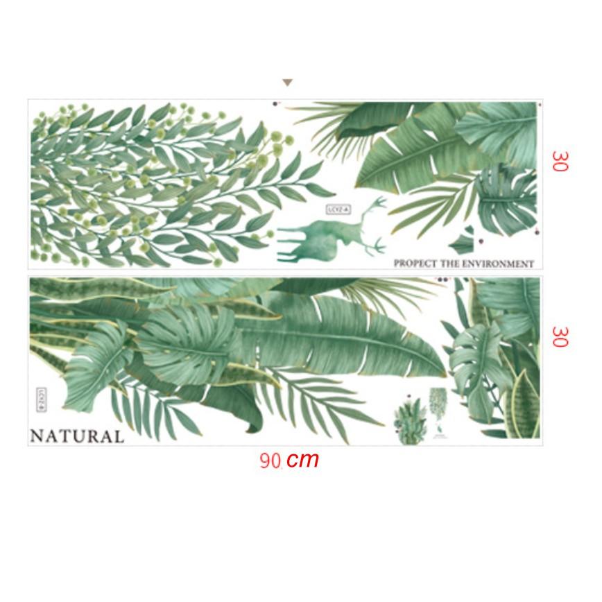 Decal trang trí tường - CÂY CHUỐI XANH DÂY LEO TƯƠI MÁT