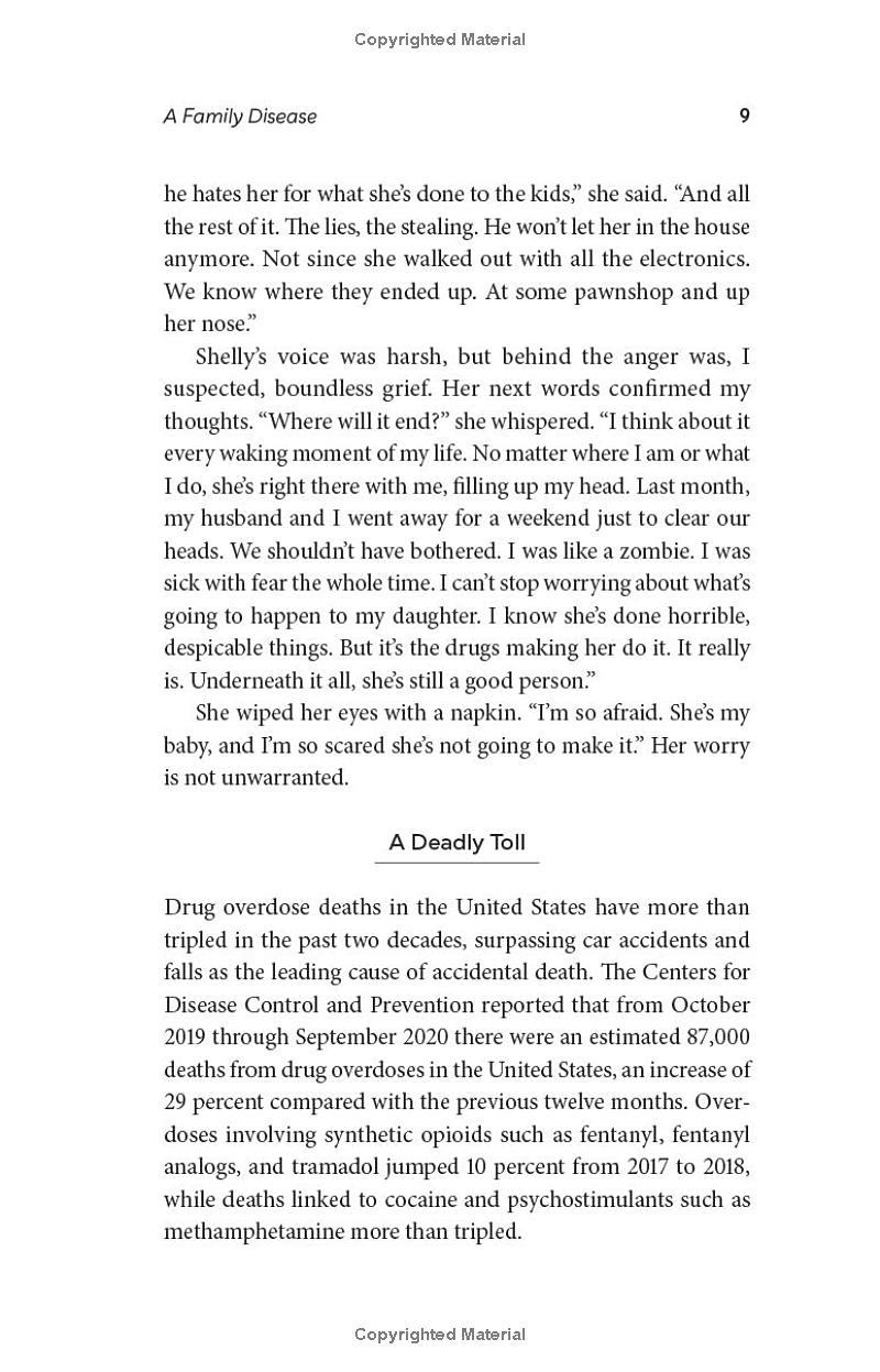 Sách ngoại văn: Addict In The Family - Support Through Loss, Hope, And Recovery