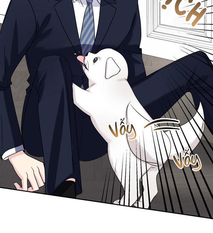 xác suất tình yêu chapter 66 74