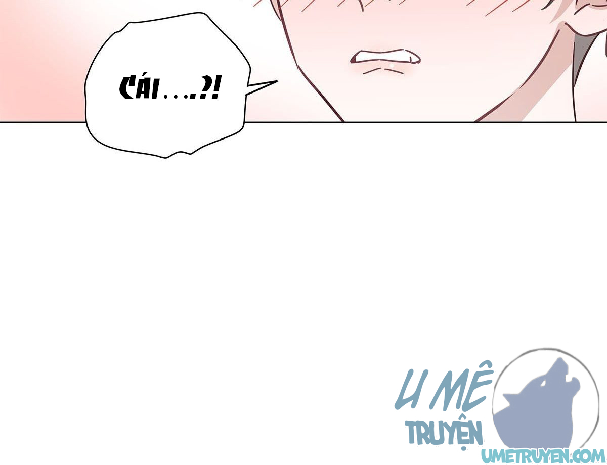 hôm nay nam giả trang nữ vẫn chưa được cầu hôn! chapter 30 41