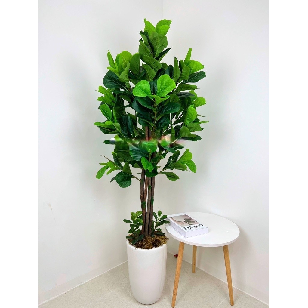 Cây bàng singapore giả - cao 160cm - Cây giả, hoa lụa Decor trang trí nhà cửa