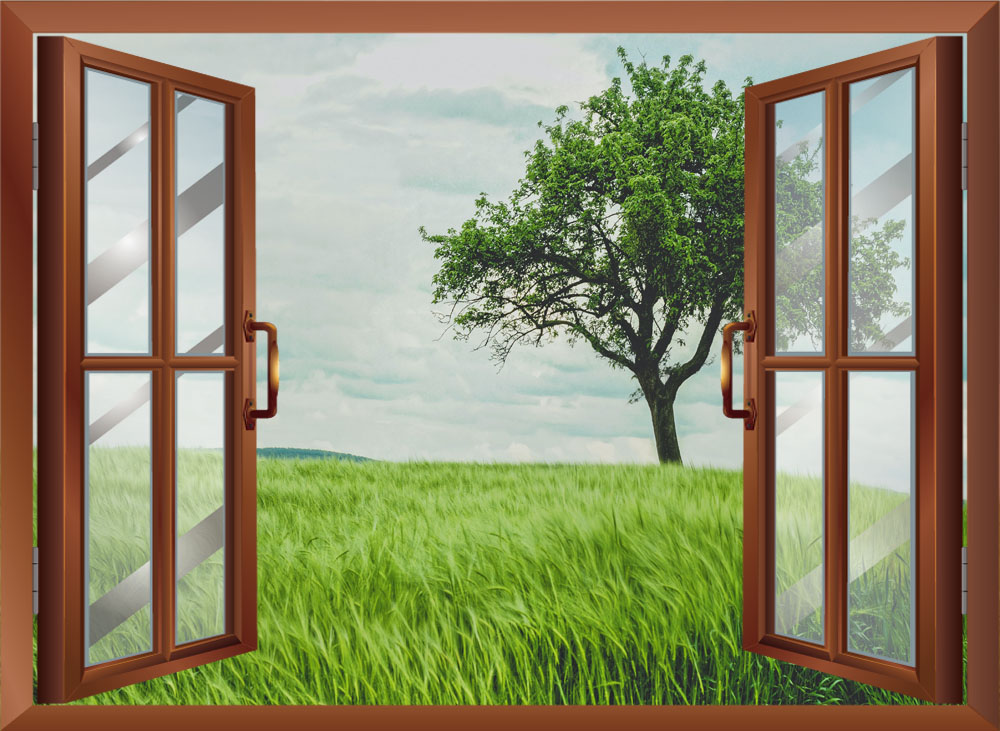 TRANH CỬA SỔ PVP-CS6 Tranh dán tường 3d cửa sổ mở VƯỜN CÂY XANH, hàng cây xanh ,Tranh dán tường có sẵn keo,tạo cảm giác gần gũi thiên nhiên.