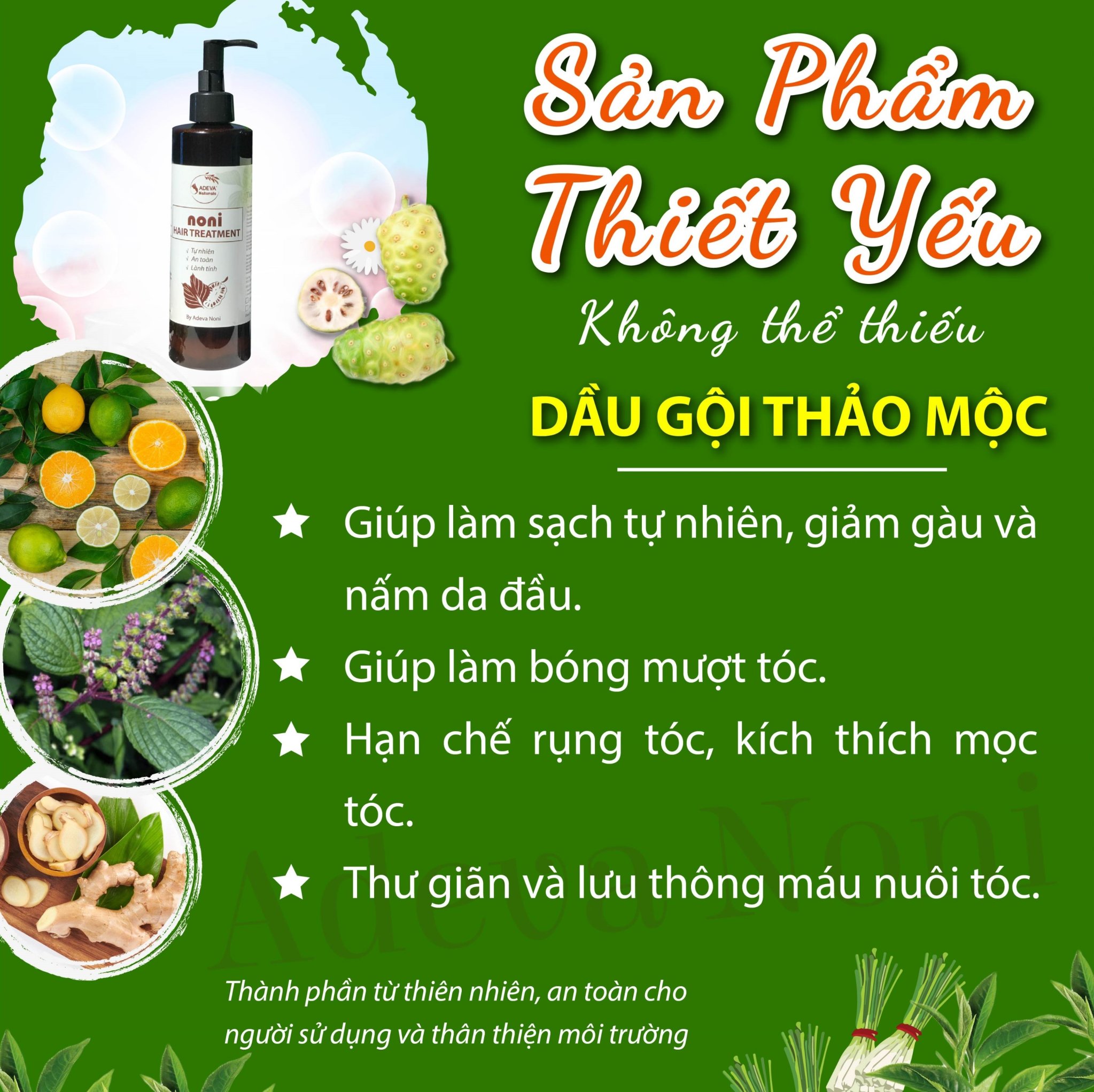 [Gift] Dầu gội thảo mộc Adeva Noni Không cần dầu xả - Mẫu dùng thử - Thơm tự nhiên, Giảm gàu và nấm da đầu, hạn chế rụng tóc, kích thích mọc tóc, giúp tóc bóng mượt