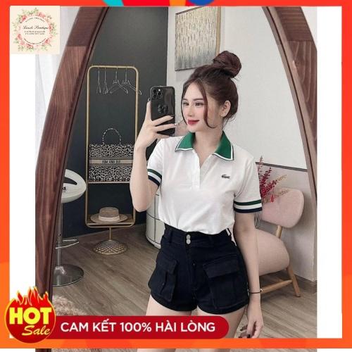 áo phông polo nữ, áo thun cổ bẻ, áo phông cá sấu hot 2022