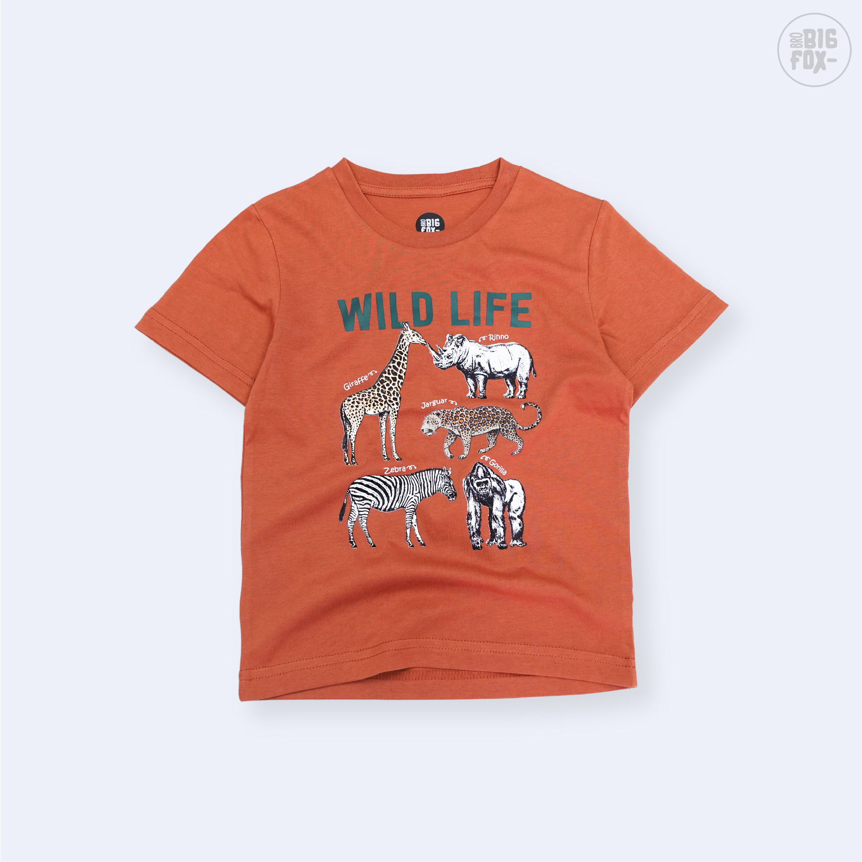 Bộ Bé Trai Big Fox - Miss Meow, Chất Cotton Mềm Mịn Họa Tiết Wild Life Size Trẻ Em 3,4,5,6 Tuổi