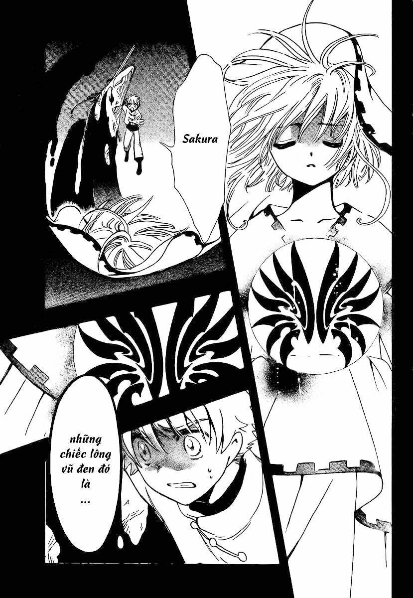 huyền thoại đôi cánh chapter 196 9