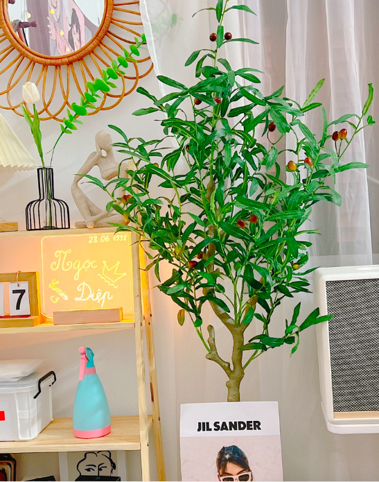 Cây oliu giả - Size 130cm đến 160cm - Oliu giả lõi thép trang trí - Cây giả, hoa lụa Decor trang trí nhà cửa