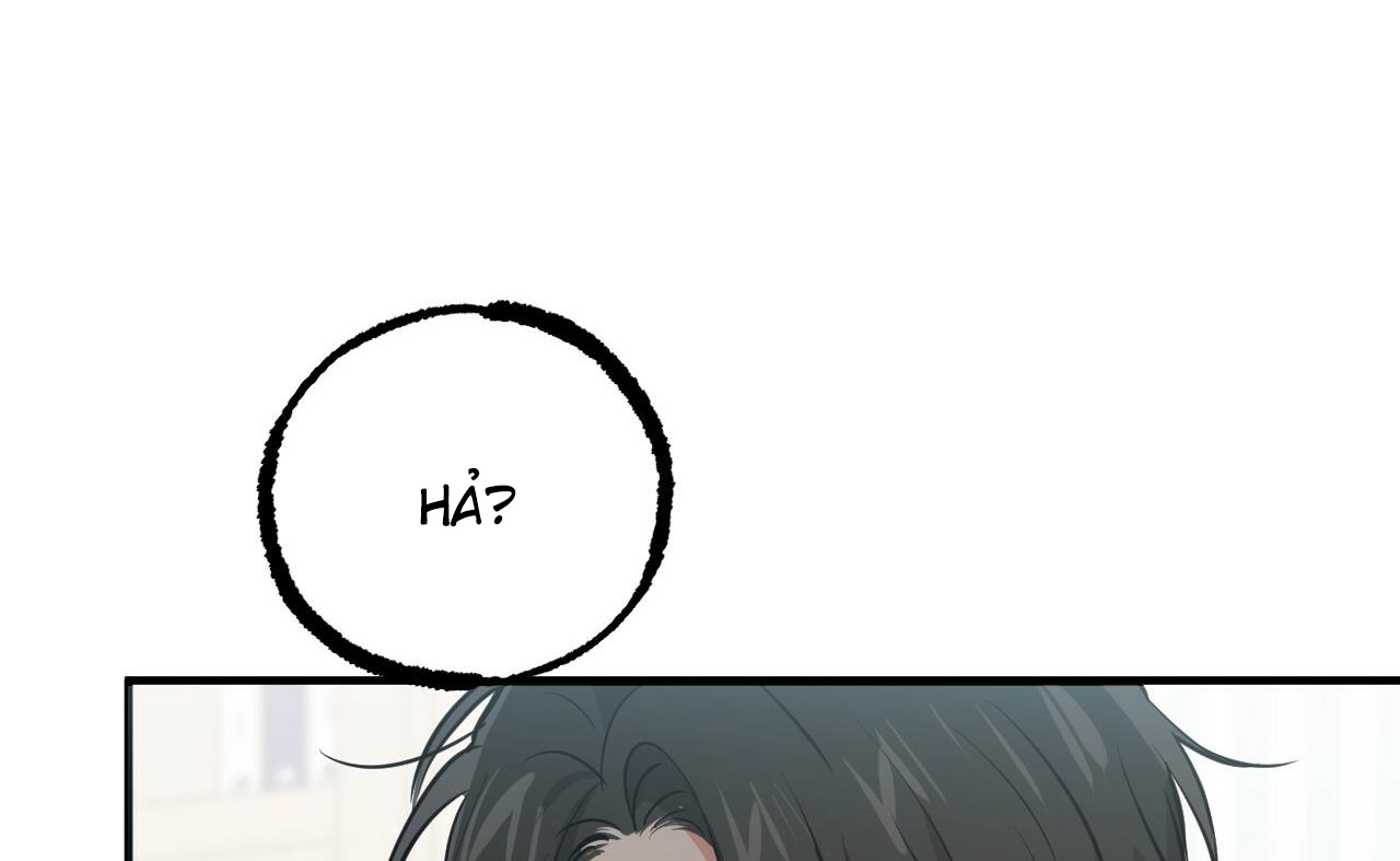 những chú thỏ của hapypy chapter 52 70