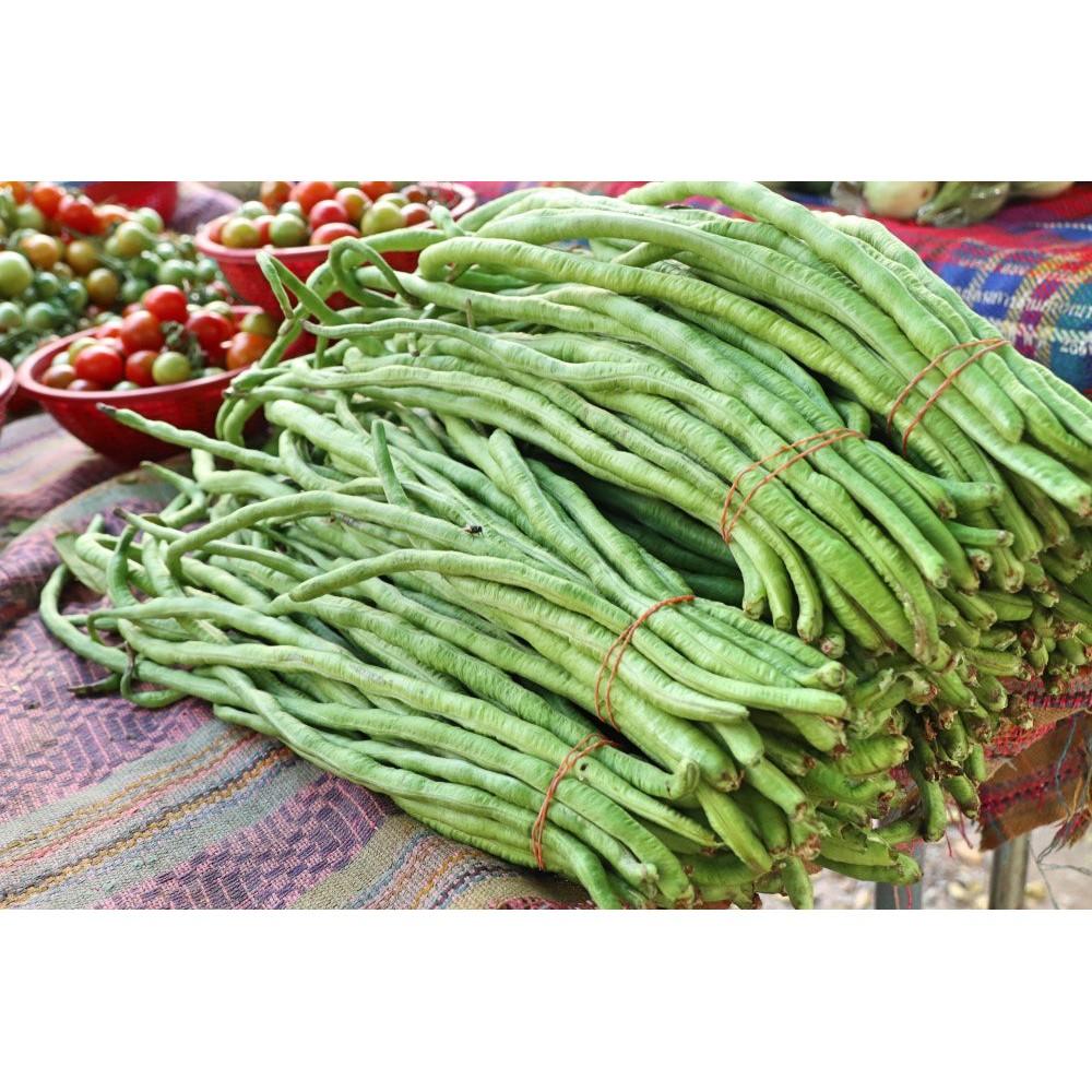 Hạt Giống Đậu Đũa F1 Loại Siêu Dễ Trồng, Dễ Thu Hoạch Tặng kèm Hướng Dẫn Trồng