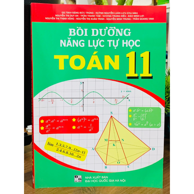 Sách - Bồi dưỡng năng lực tự học Toán 11