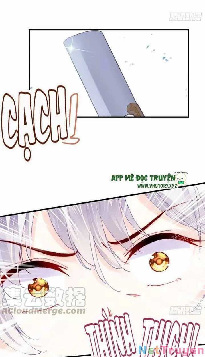 lại bị bệnh chiều chuộng quấn lấy chapter 15 33