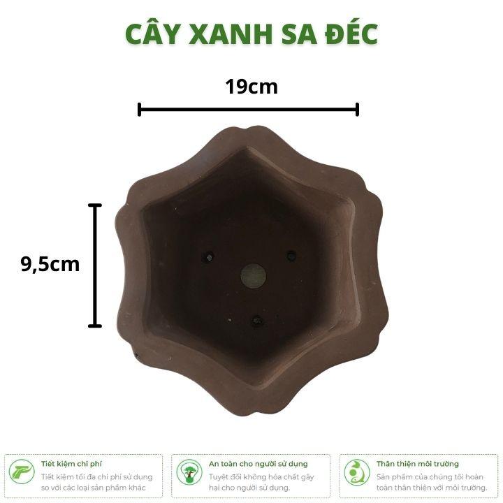Chậu lục giác mini chữ tàu cắt viền miệng tinh xảo hoa văn cành hoa, tre trúc CK15