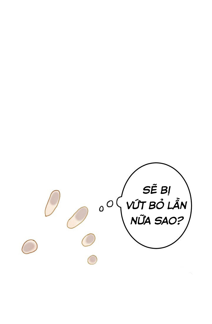 câu chuyện về đứa con hoang bị ghét bỏ chapter 1 2