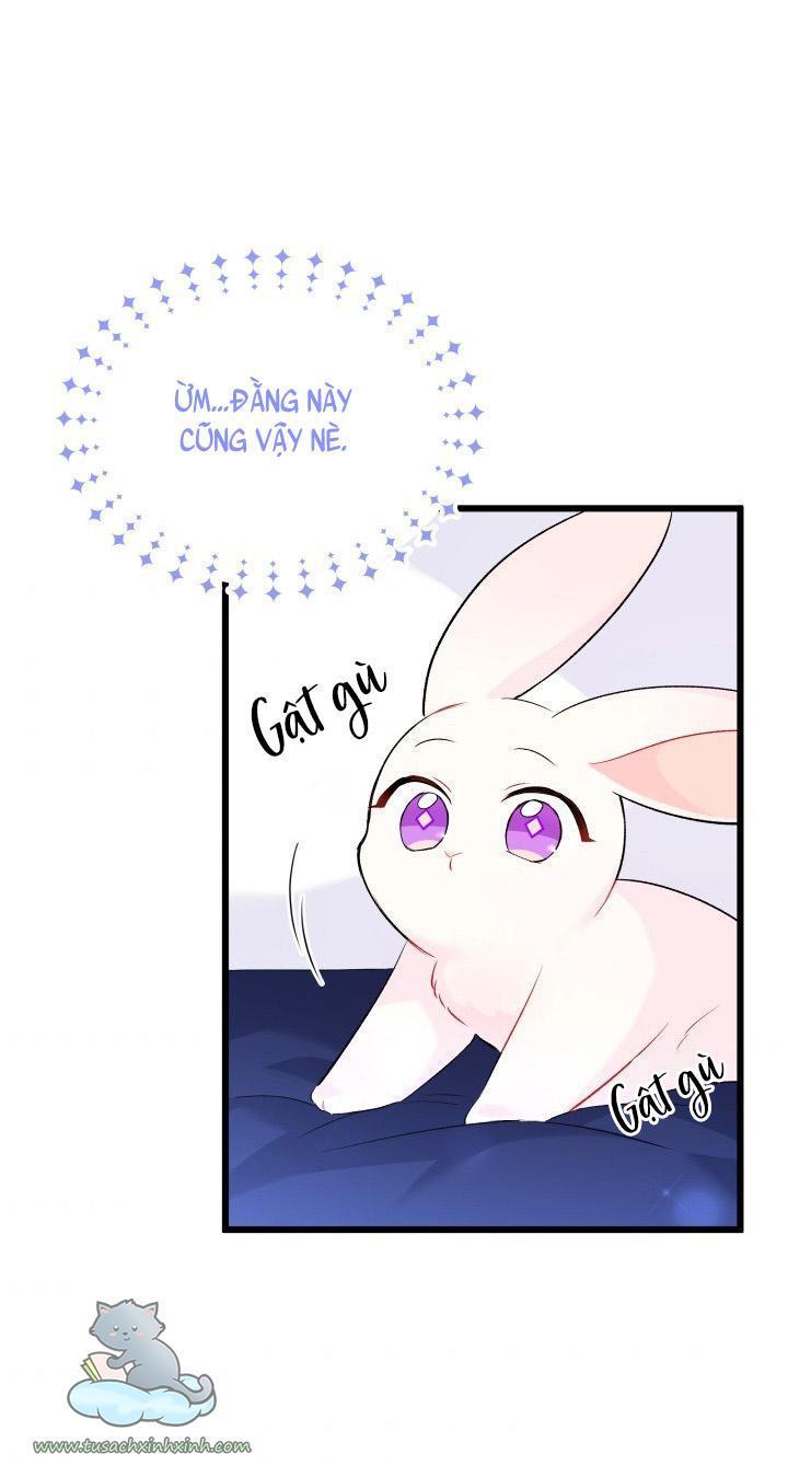 quan hệ cộng sinh giữa báo đen và thỏ trắng chapter 46 61
