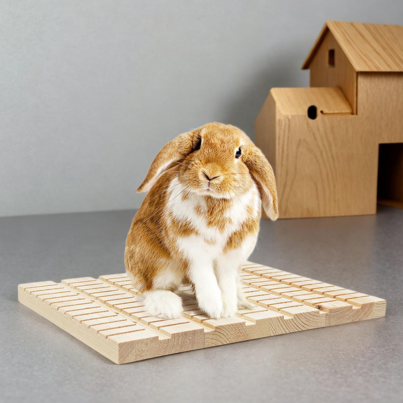 Rabbit Scratching Board Wooden Chew Toys for Chinchilla Rabbit Small Animals