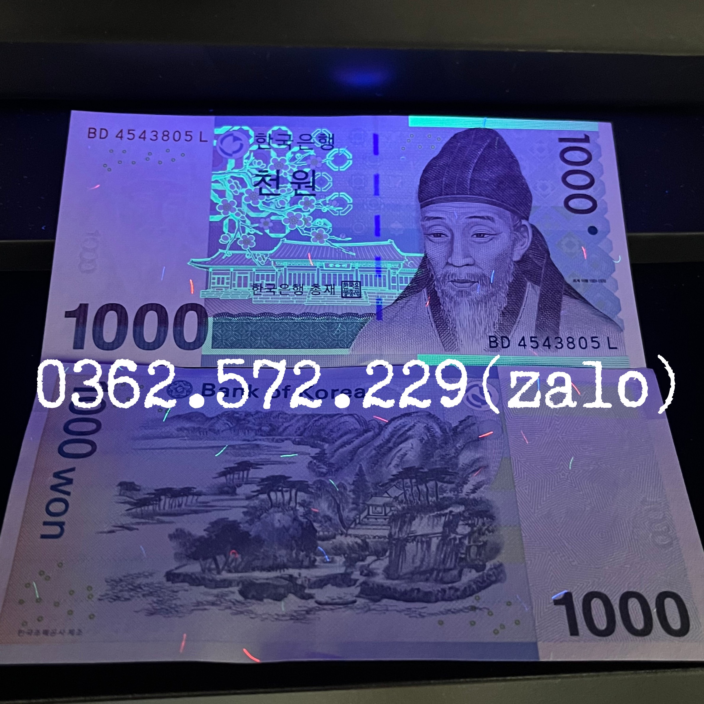 Combo 10 Tờ Tiền Đại Hàn Dân Quốc 1000 won sưu tầm - Tiền mới keng 100% - Tặng túi nilon bảo quản