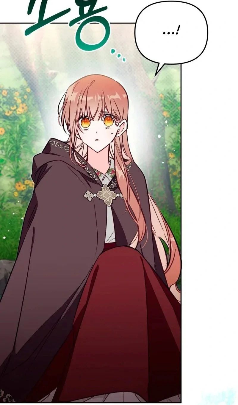 không có chỗ cho kẻ giả mạo chapter 80 66